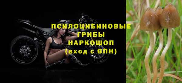 дмт Бабаево