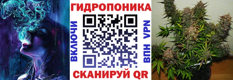 Канабис план  купить закладку  Магнитогорск 